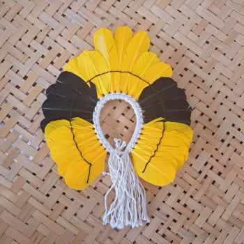 10 Mini Cocar 20cmx20cm - consultar cores disponíveis em (21)965561471 