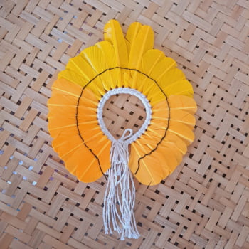 10 Mini Cocar 20cmx20cm - consultar cores disponíveis em (21)965561471 